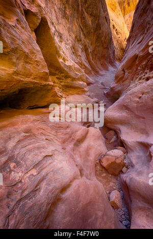 USA, Utah, Emery, Little Wildhorse Canyon. Stock Photo