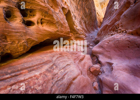 USA, Utah, Emery, Little Wildhorse Canyon. Stock Photo