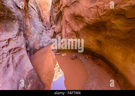 USA, Utah, Emery, Little Wildhorse Canyon. Stock Photo