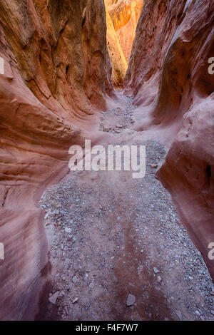 USA, Utah, Emery, Little Wildhorse Canyon. Stock Photo