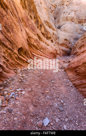 USA, Utah, Emery, Little Wildhorse Canyon. Stock Photo