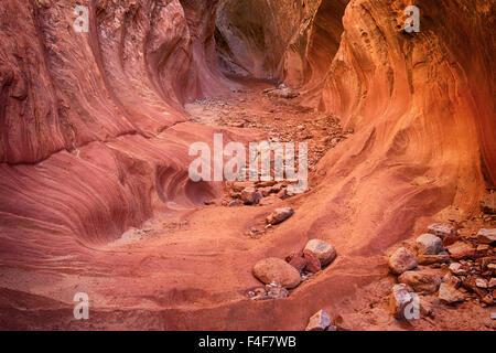 USA, Utah, Emery, Little Wildhorse Canyon. Stock Photo