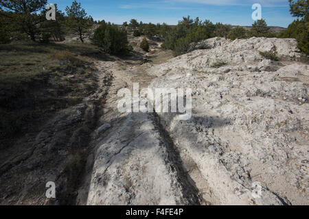 The Guernsey on the Oregon Trail near Guernsey Wyoming is the best-preserved ruts on the trail. They were made by wagons crossing a sandstone ridge to avoid the North Platte River from 1841-1869. (Large format sizes available) Stock Photo