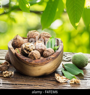 Walnuts in the wooden bowl on the table under the walnut tree. Stock Photo