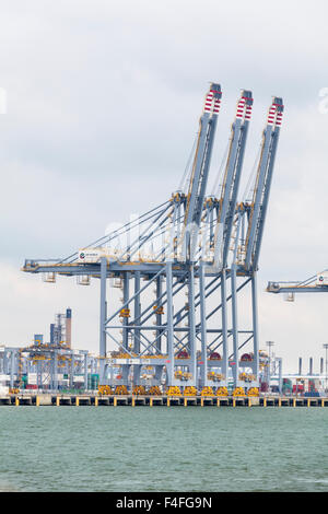 Ship-to-shore container cranes at Tilbury Docks on the river Thames in the Port of Tilbury, Essex Stock Photo