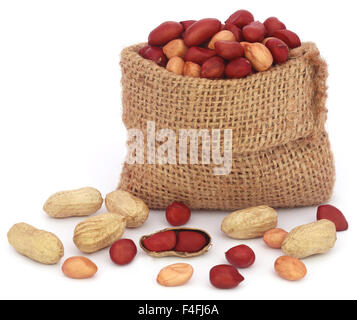 Fresh Peanuts in sack over white background Stock Photo