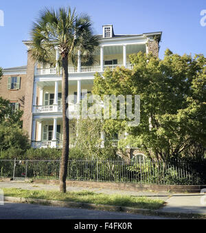 Charleston, South Carolina, USA. 16th Oct, 2015. The Sabal Palmetto is one of 15 species similar in appearance and commonly called the Caribbean palm. The Palmetto with it's distinctive bushy and splayed out fronds at the crown as well as it's straight trunk and dusty color can be seen on the state flag of South Carolina. Gathered cut fronds from the Palmetto palm also adorns the Charleston municipal flag. --- A tall Sabal Palmetto pam stands along in front of a home along South Battery street at White Point Garden. © David Bro/ZUMA Wire/Alamy Live News Stock Photo