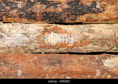 Old rough wooden planks with cracks as background Stock Photo