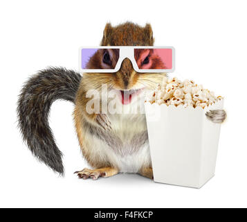 Funny squirrel with blank popcorn bucket and 3d glasses on white Stock Photo