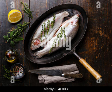 Raw uncooked Trout fish with spices and herbs on pan on dark wooden background Stock Photo