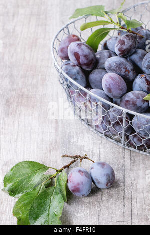 Ripe purple plums with leaves in metal decorative basket over gray wooden background. Stock Photo