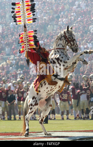 October 17, 2015: Florida State Seminoles mascot during the pre game ...