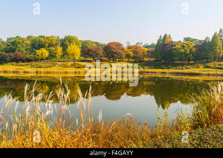 Autum trees and colorful  landscape in Seoul, South Korea. Stock Photo