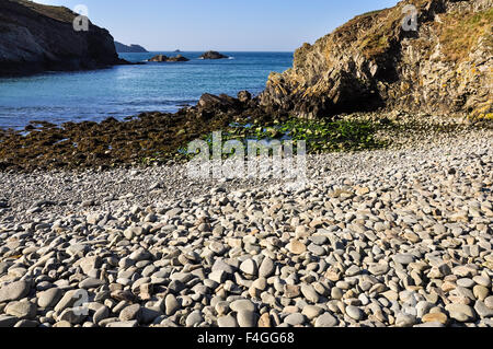 Pebbly beach near Solva on the coast of Pembrokeshire, Wales. Stock Photo