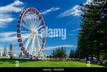 The Fremantle Eye in the city of Fremantle, Western Australia. Stock Photo