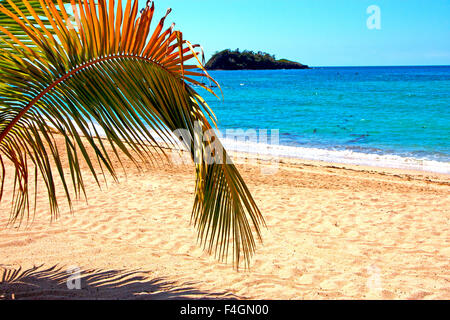 beautiful andilana beach seaweed in indian ocean madagascar mountain   sand isle  sky and rock Stock Photo