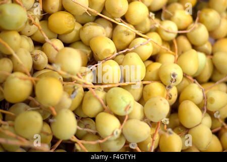 Fresh Dates ready for Sale Stock Photo