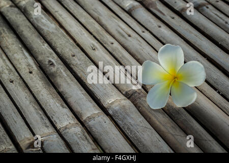 Plumeria on wooden floor. Space for design Stock Photo