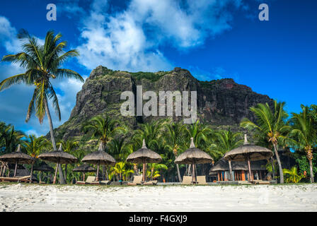 The Le Mont Brabant mountain in Mauritius rising behind palm trees on the sandy beach Stock Photo