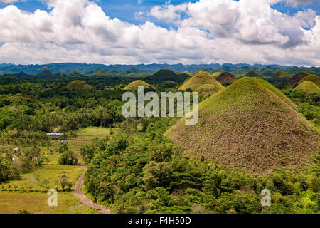 The Chocolate Hills of Bohol Island, Philippines numbering about 1,176 are grass-covered karst limestone geological formats. Stock Photo