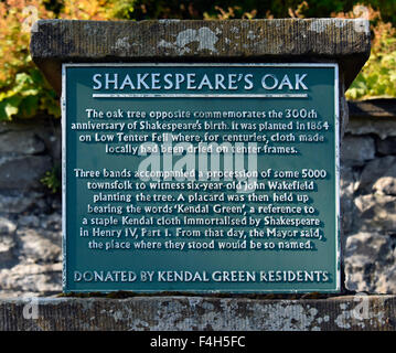 Shakespeare's Oak. Descriptive plaque. Kendal Green, Kendal, Cumbria, England, United Kingdom, Europe. Stock Photo