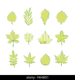 set of green tree leaf icons isolated on white background. vector nature symbols Stock Vector