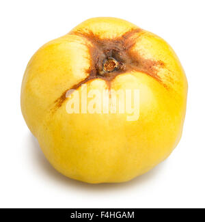 quince isolated Stock Photo