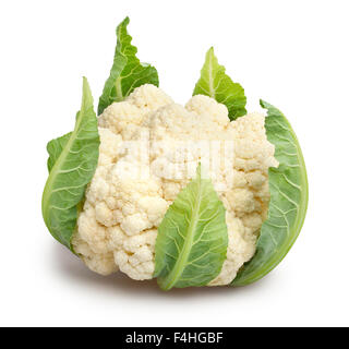 cauliflower isolated Stock Photo