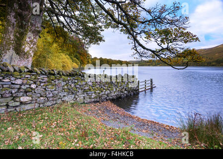 Autumnal foliage at Loweswater, Lake District National Park Stock Photo