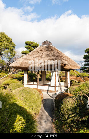 Japan, Yamato-Koriyama castle. Japanese garden, tea house with thatched roof, surround by hedges and pathways. Daytime, bright sunshine. Stock Photo