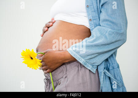 Pregnant woman holding a flower Stock Photo