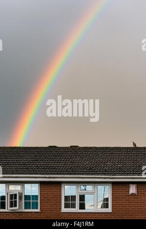 Rainbow in grey cloudy sky, with bird sitting on house roof in foreground. Stock Photo