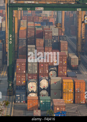 Port of Singapore container cargo terminal, run by PSA, one of the busiest shipping terminals in the world, Singapore Stock Photo