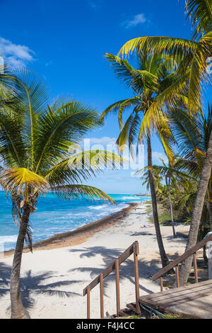 Varadero beach, Varadero, Cuba, West Indies, Caribbean, Central America Stock Photo