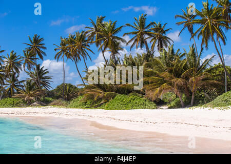 Playa Blanca, Punta Cana, Dominican Republic, West Indies, Caribbean, Central America Stock Photo