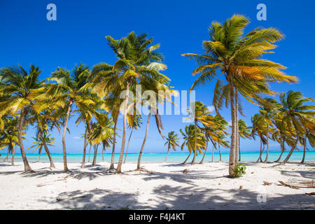 Cap Cana Beach, Punta Cana, Dominican Republic, West Indies, Caribbean, Central America Stock Photo