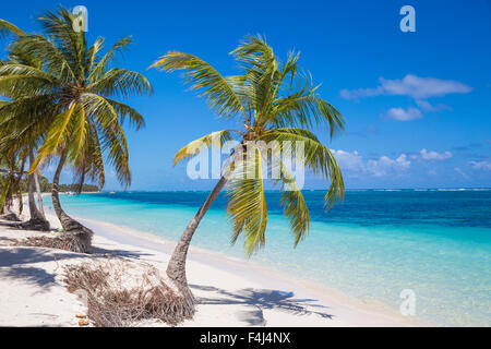 Playa Cabeza de Toro, Punta Cana, Dominican Republic, West Indies, Caribbean, Central America Stock Photo