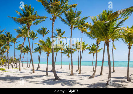 Juanillo Beach, Cap Cana, Punta Cana, Dominican Republic, West Indies, Caribbean, Central America Stock Photo