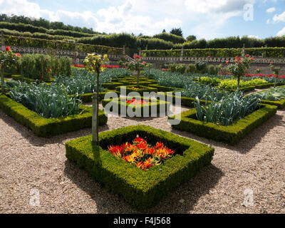 Leeks, chilli peppers in the kitchen gardens, Chateau de Villandry, Loire Valley, Indre et Loire, Centre, France Stock Photo