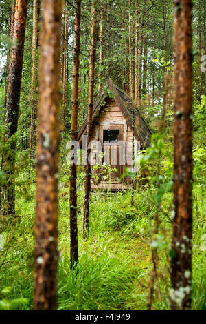 An outhouse in the forest, Finland. Stock Photo