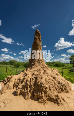 Termite mound, Etosha National Park, Namibia, Africa Stock Photo