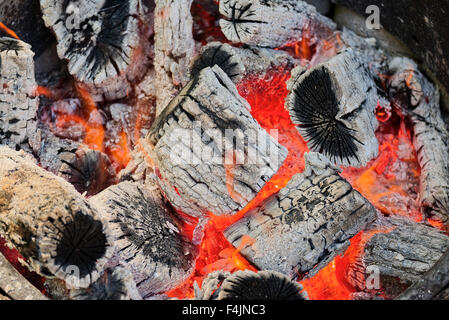 campfire. Wood logs burning in camp fire firepit Stock Photo