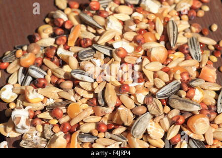 Hamster's food, including oats, corns,herbs Stock Photo