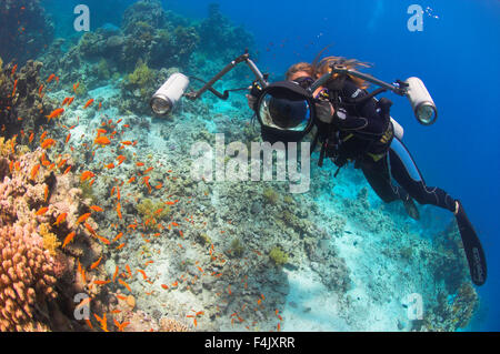 Underwater Photographer Stock Photo