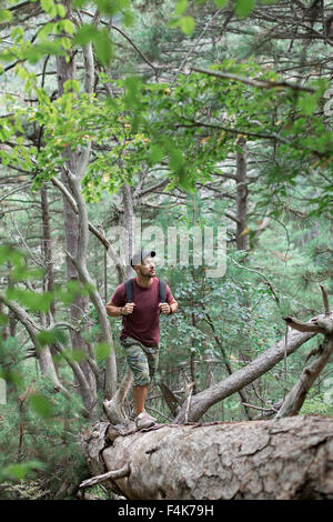 Hiker man hiking crossing river walking in balance on fallen tree Stock Photo