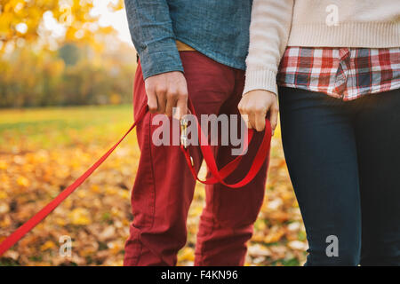 Close up on two hands of romantic couple holding dogs lead outside in autumn day Stock Photo