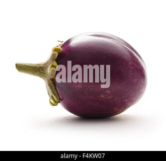 Young singe eggplant on a white background Stock Photo