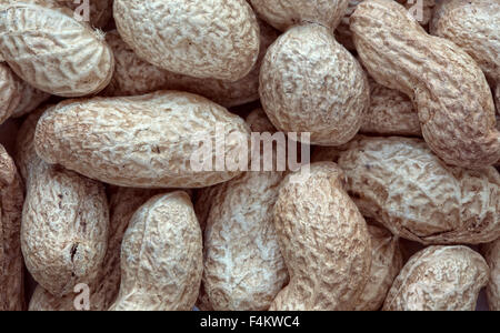 roasted peanuts in their shells Stock Photo