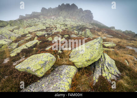 Violik (Labsky Szczyt) hill in Krkonose mountains, Czech Republic, Bohemia, EU, Europe. Stock Photo