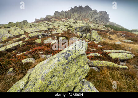 Violik (Labsky Szczyt) hill in Krkonose mountains, Czech Republic, Bohemia, EU, Europe. Stock Photo